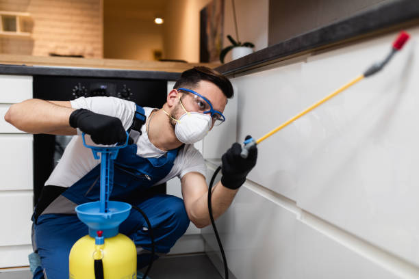 Best Pest Control Near Me  in Albertville, MN