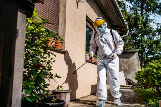 Flea Control Services in Albertville, MN