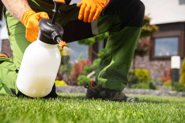 Best Affordable Pest Control Services  in Albertville, MN