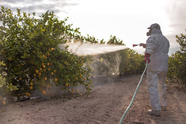 Reliable Albertville, MN Pest Control Solutions