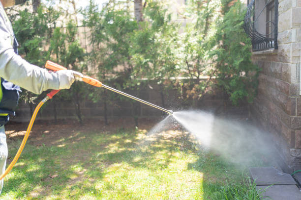 Best Affordable Pest Control Services  in Albertville, MN