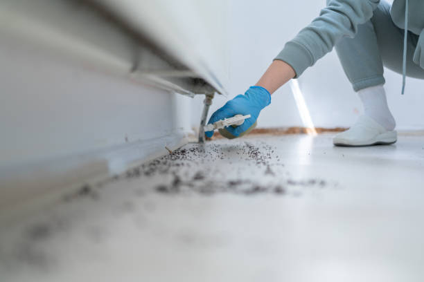 Best Wildlife Control Services  in Albertville, MN